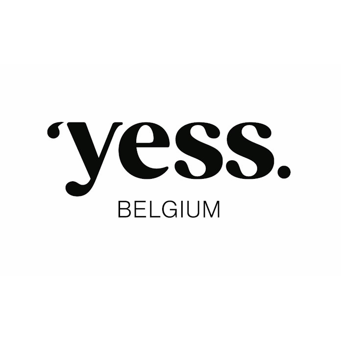 Logo Yess